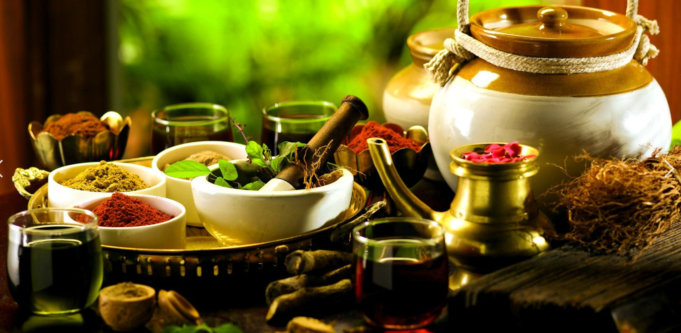 Ayurveda 101: Unlocking Ancient Secrets for Your Wellness Journey!